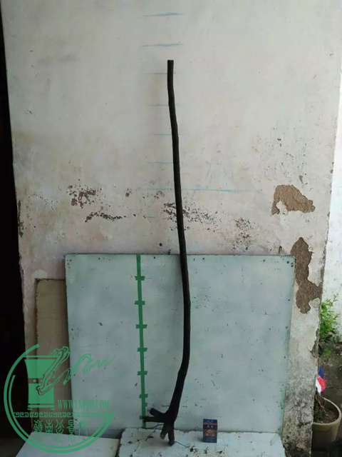 psb (1).jpg