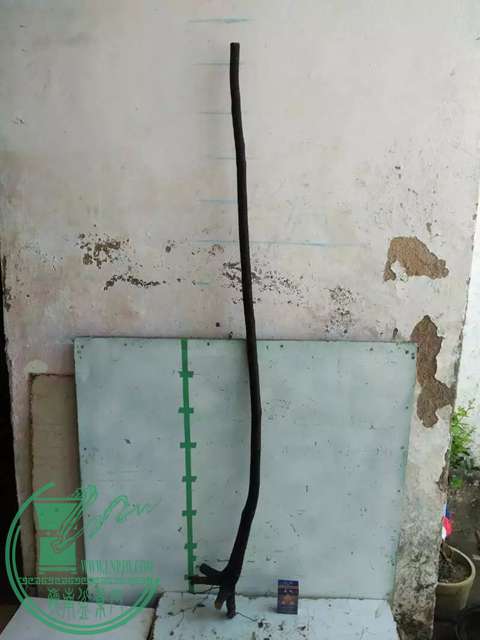 psb (2).jpg