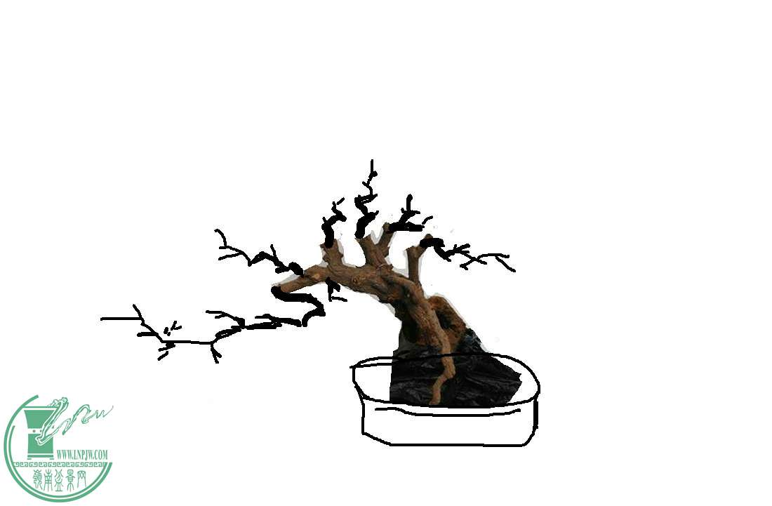 123.jpg