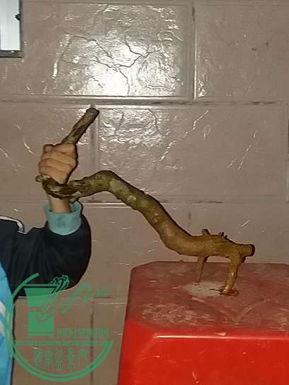 20161105_180741_mh1478342736502.jpg