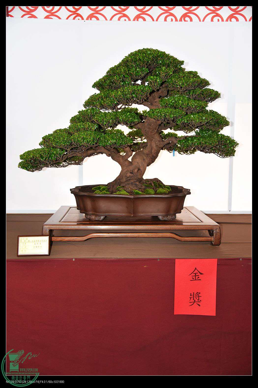 nEO_IMG_DSC_1793.jpg