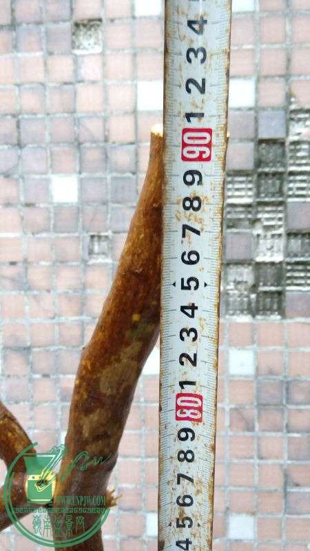 832449