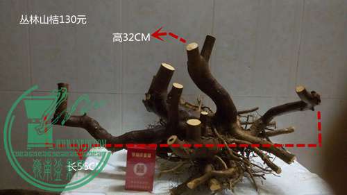 P61108-212014_.jpg