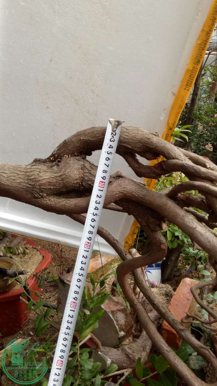 811810951371241925.jpg