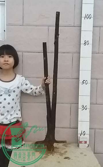 20161112_175806_mh1478947433979.jpg