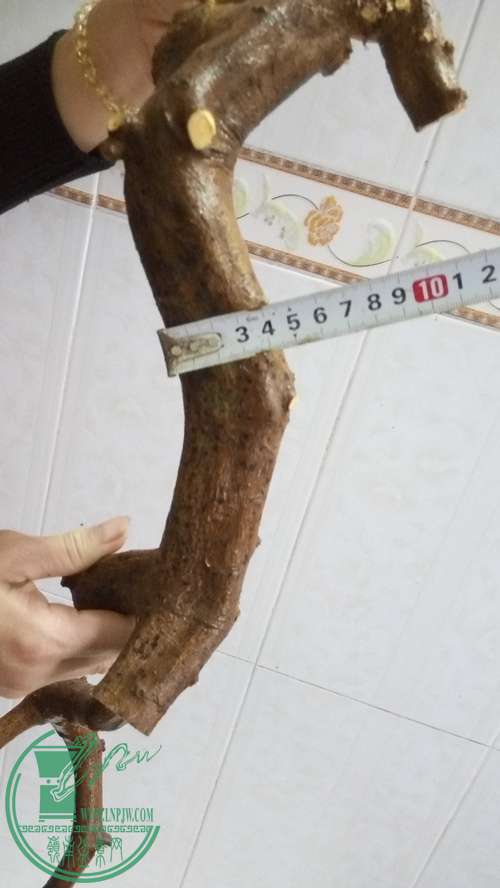 P61112-164830_.jpg