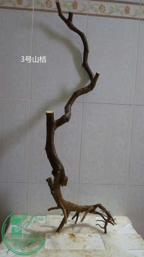P61112-165054_.jpg