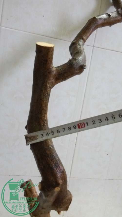 P61112-165121_.jpg