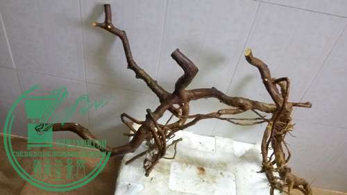 P61112-164357_.jpg