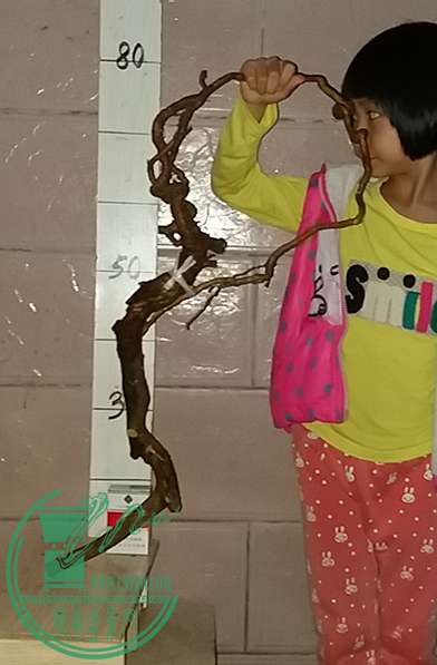 20161114_180938_mh1479120407056.jpg