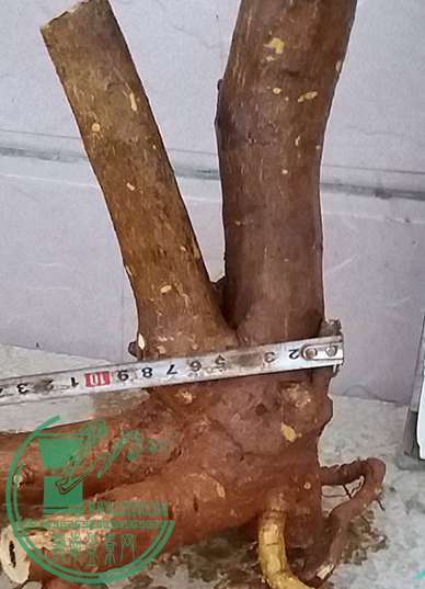 20161114_175454_mh1479120118426.jpg
