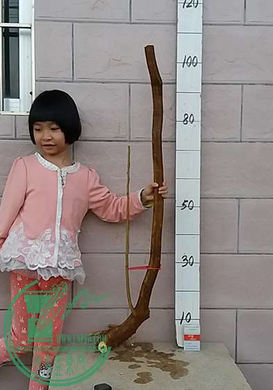 20161114_175251_mh1479120001486.jpg