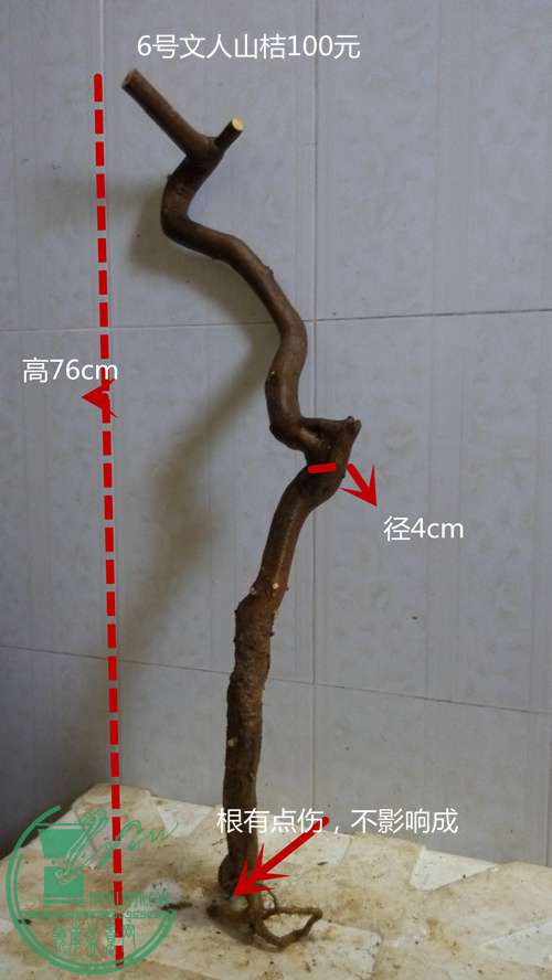 P61114-161824_.jpg