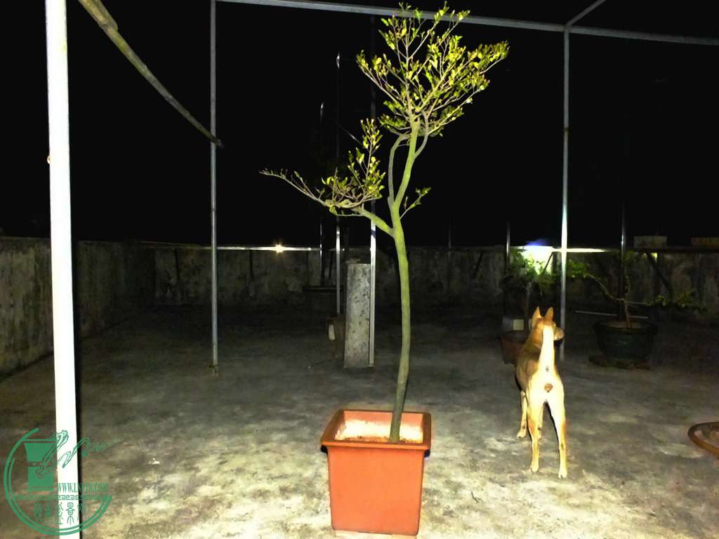 002.JPG