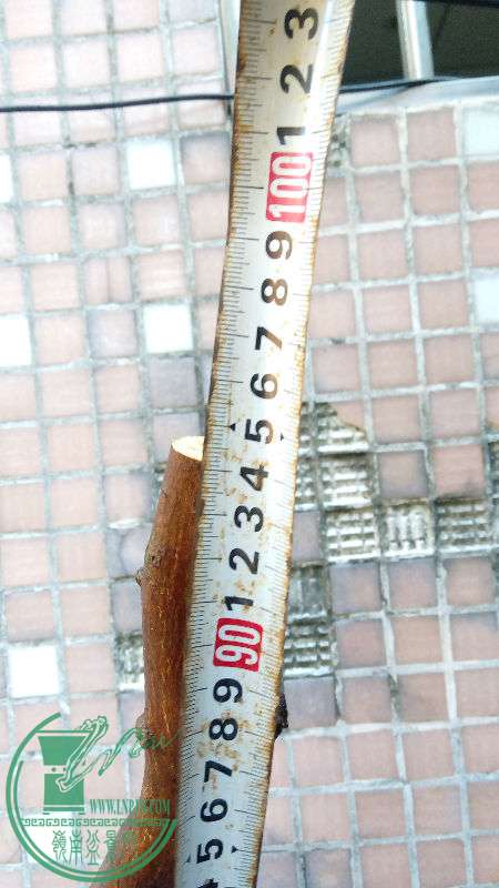 833759