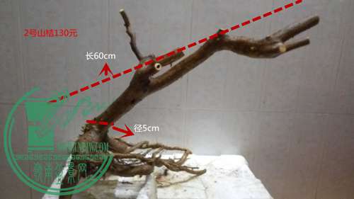P61115-182324_.jpg