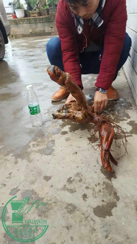 834335