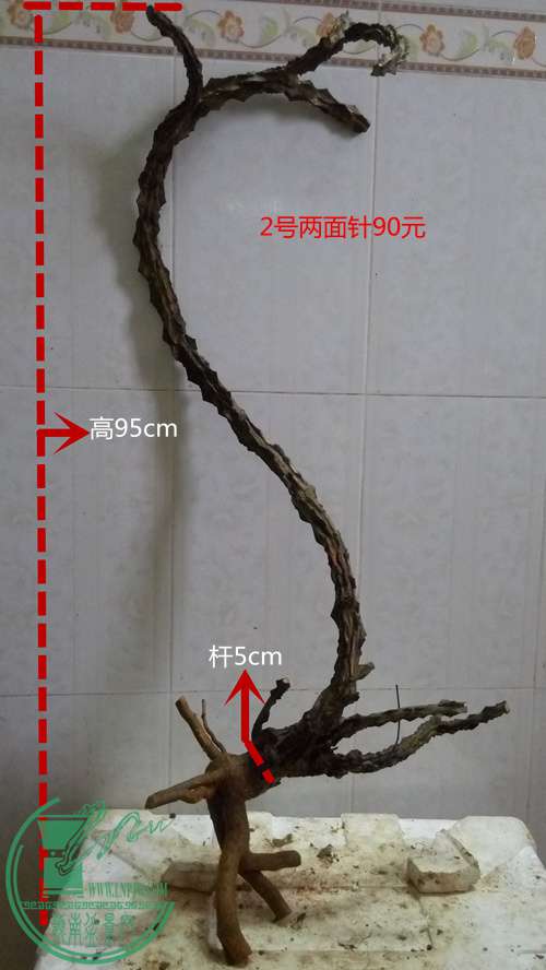 P61117-165703_.jpg