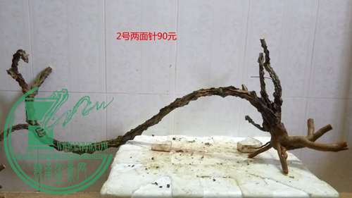 P61117-165830_.jpg