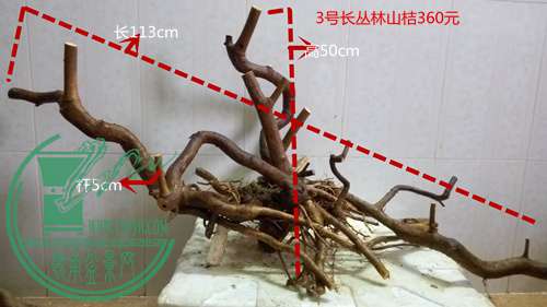 P61117-164815_.jpg