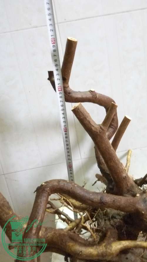 P61117-164927_.jpg