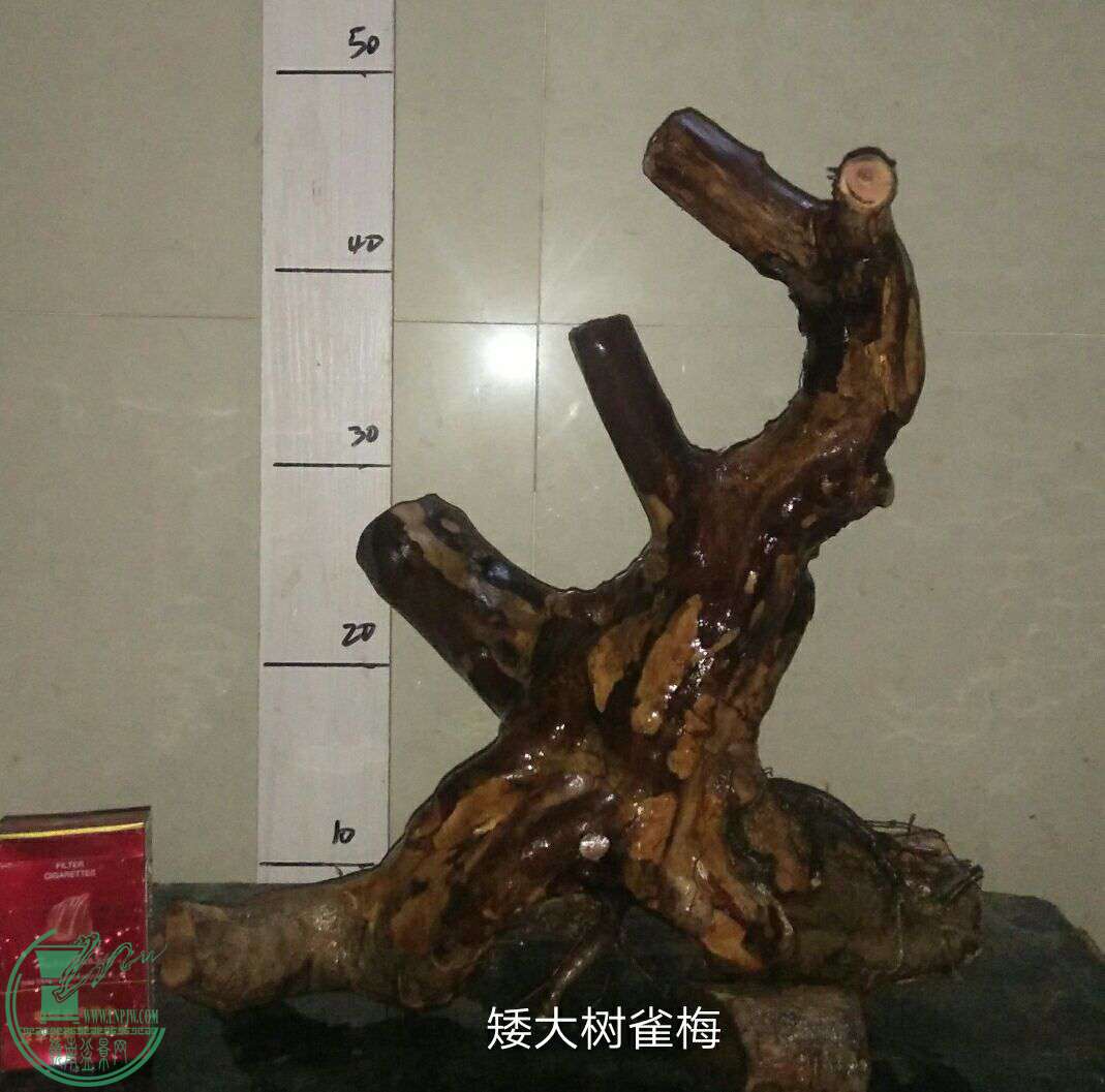 QQͼƬ20161118195352.jpg
