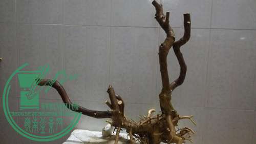 P61118-175032_.jpg
