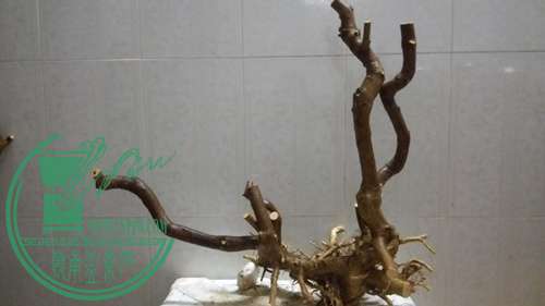 P61118-175100_.jpg
