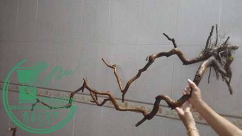 P61118-175735_.jpg