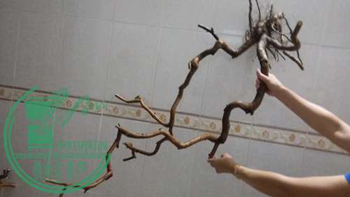 P61118-175804_.jpg