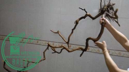 P61118-180009_.jpg