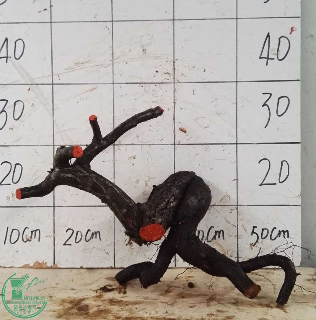 ׮230