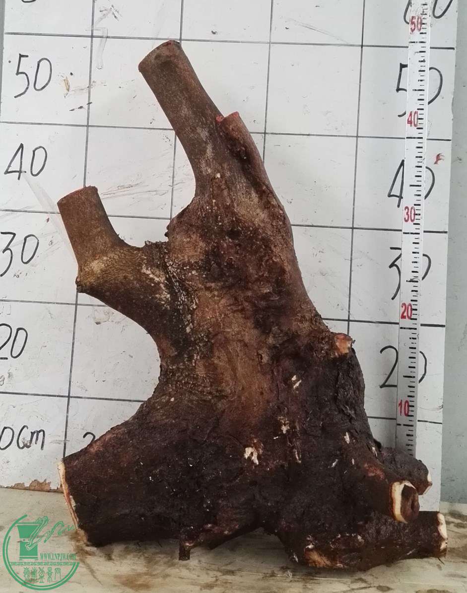 СҶ450