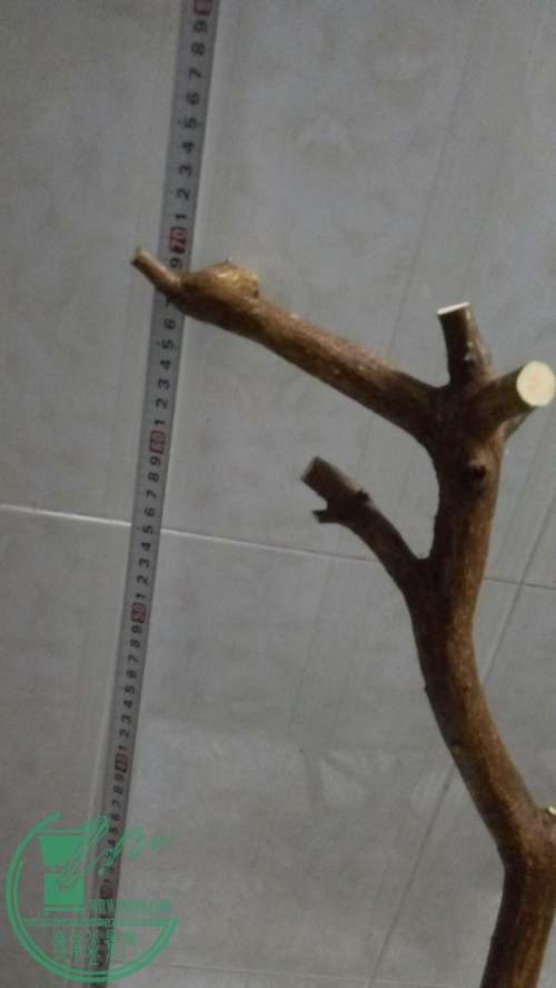 P61118-181817_.jpg
