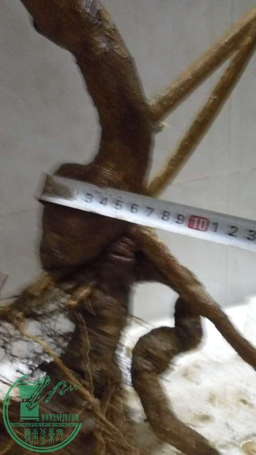 P61118-180129_.jpg