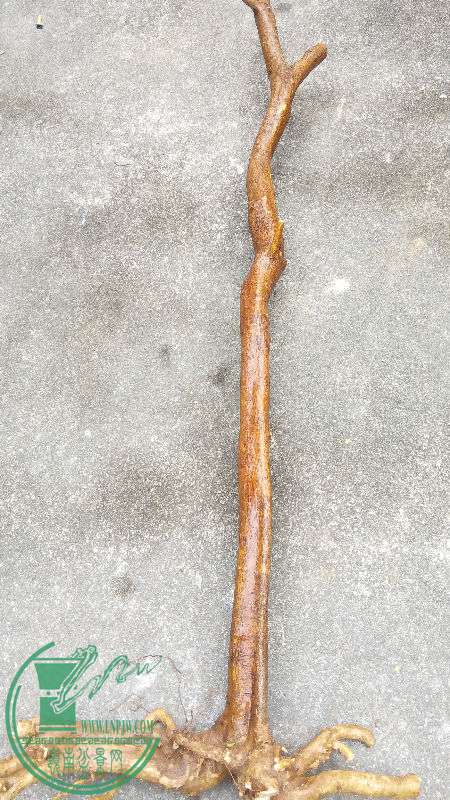 834918