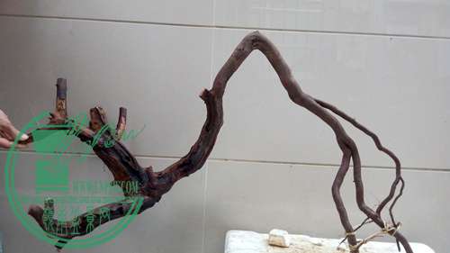 P61119-171104_.jpg