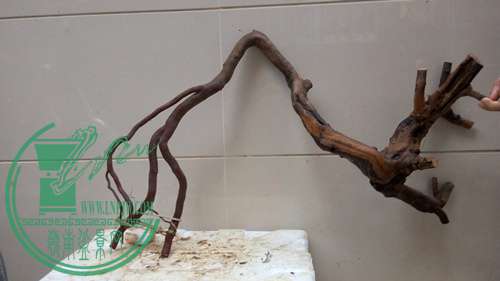 P61119-171156_.jpg