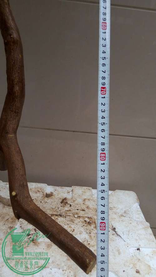 P61119-170645_.jpg