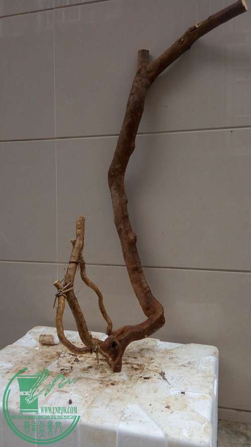 P61119-170738_.jpg