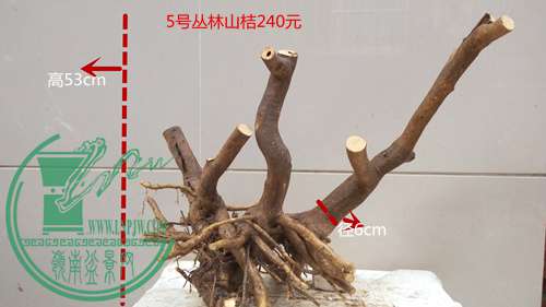 P61119-170128_.jpg
