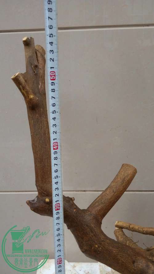 P61119-165956_.jpg