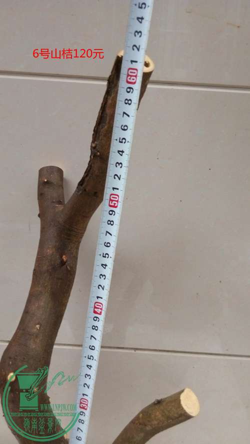 P61119-170254_.jpg