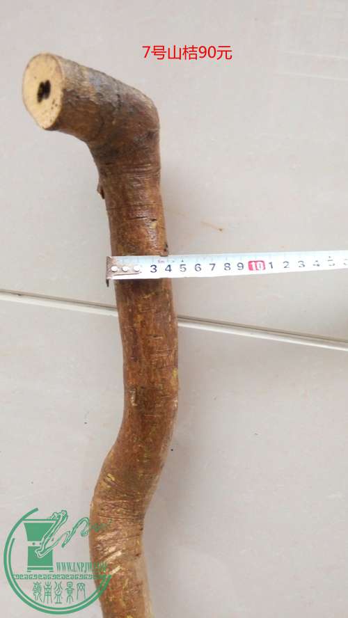 P61119-170421_.jpg