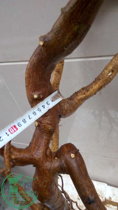 P61119-165310_.jpg