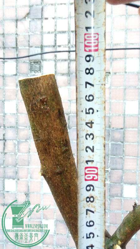 835263