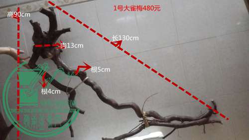 P61120-181754_.jpg