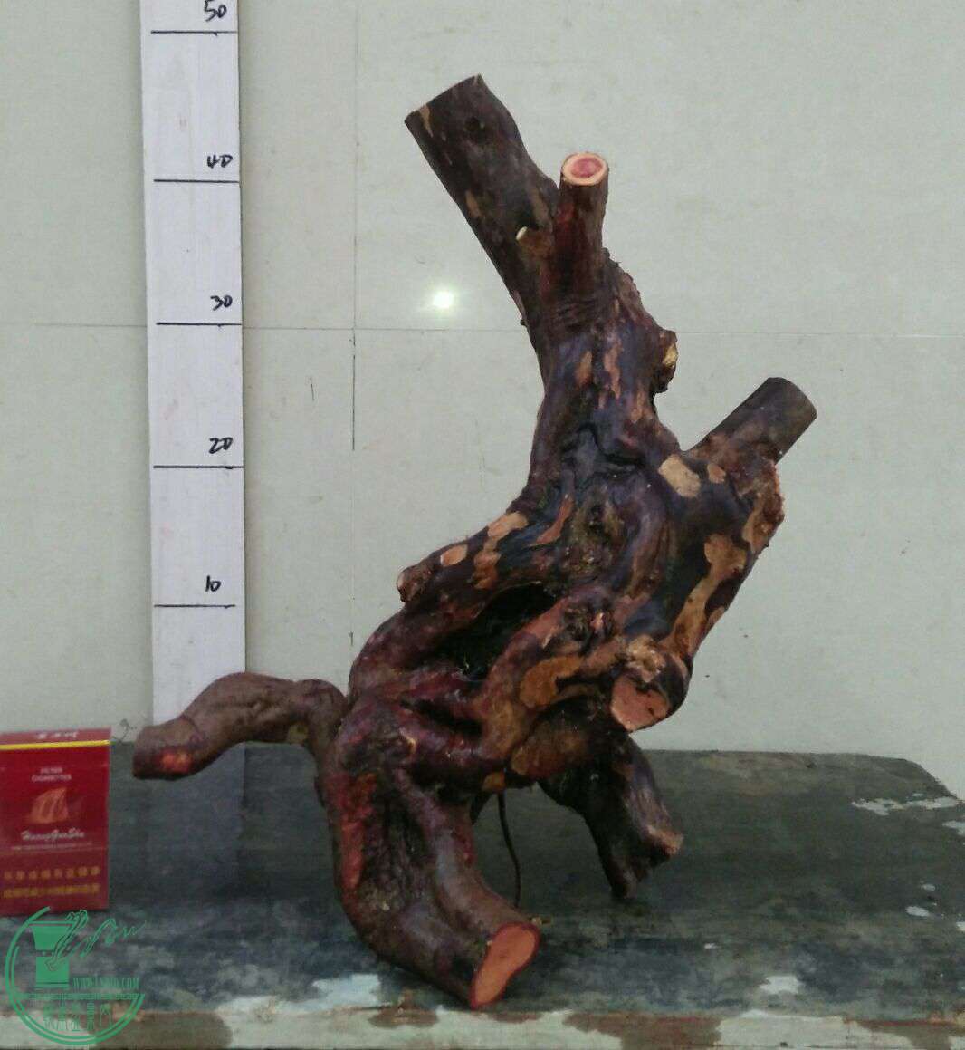 QQͼƬ20161121184001.jpg