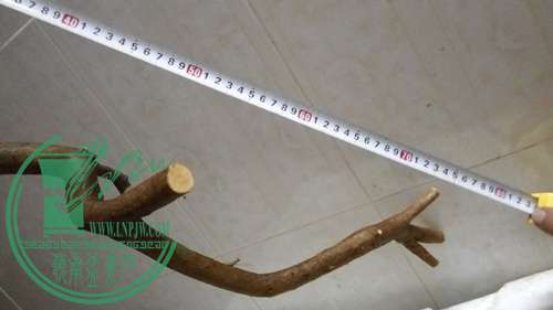 P61121-180653_.jpg