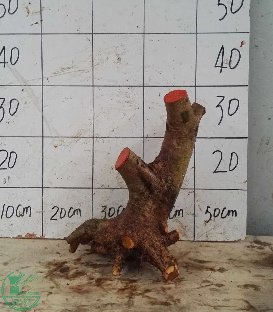 3ŶԽ150